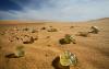 Libya l cam